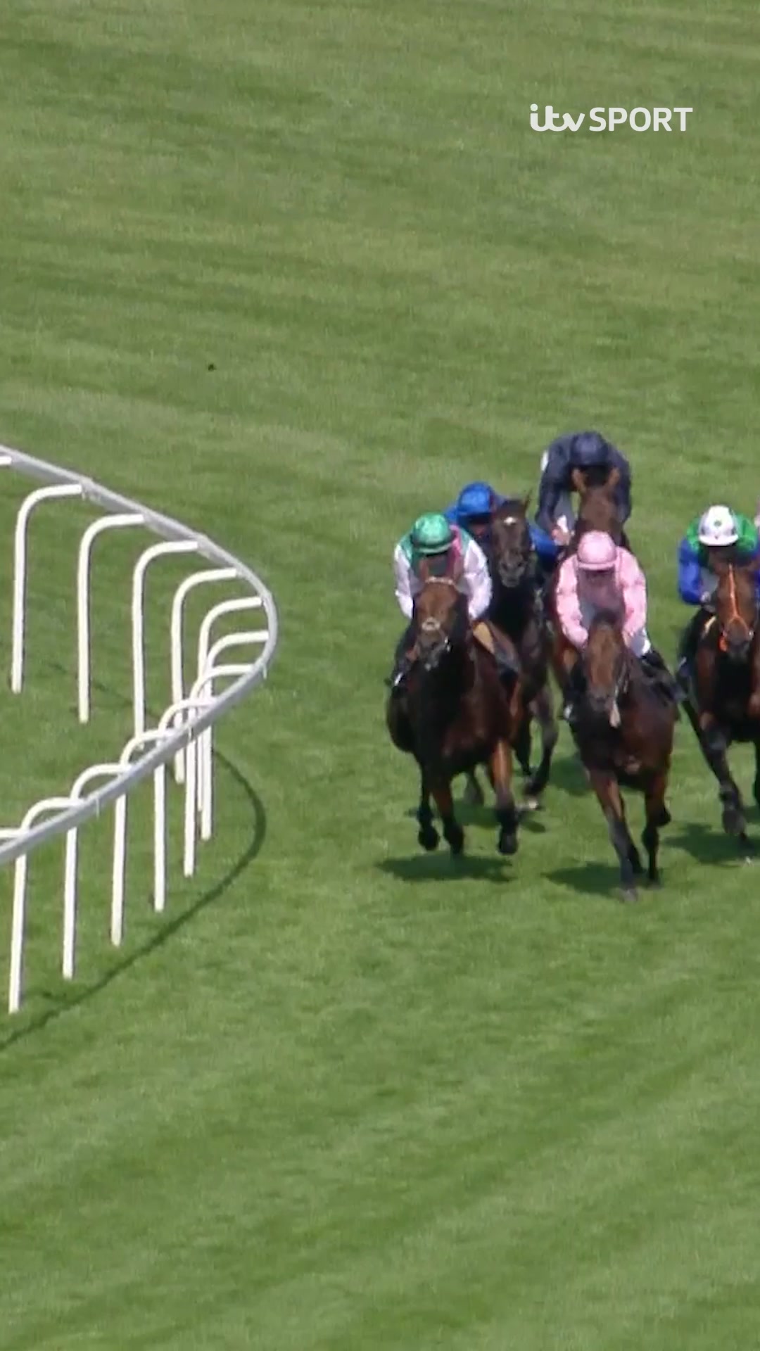 It’s GOLD for Field of Gold in the St. James’s Palace Stakes 